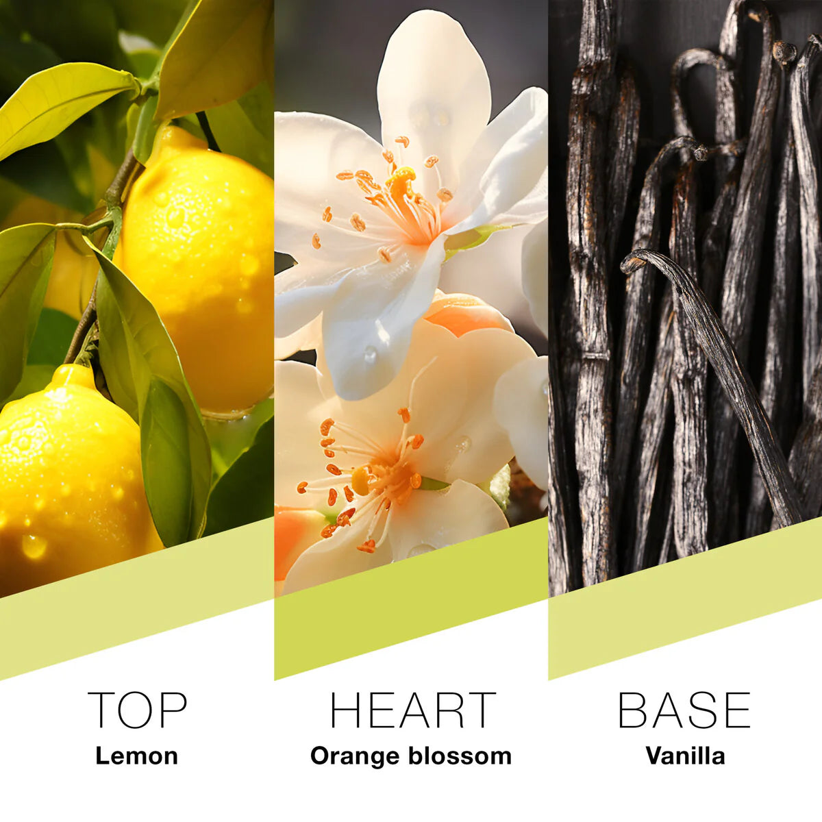 Prêt à Porter Milano Eau de Parfum. Natural Spray for Women 100ml.