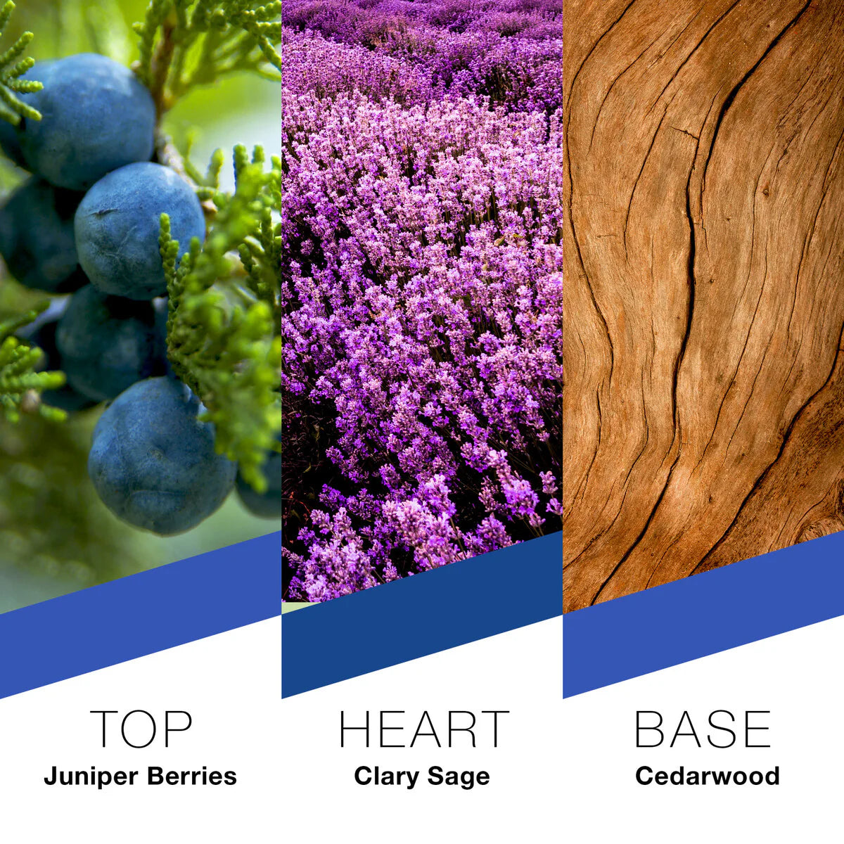 Prêt à Porter New York Eau de Parfum. Natural Spray for Men 100ml.